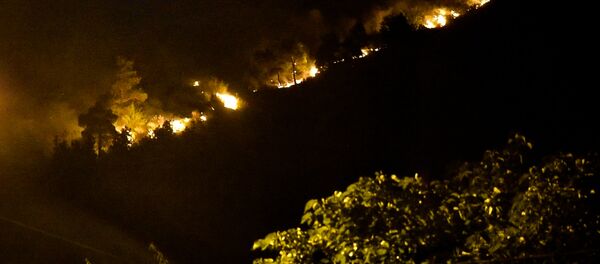 მთაწმინდაზე გაჩენილი ხანძრის ლიკვიდაციაში ათობით მეხანძრე და სპეცტექნიკა მონაწილეობდა მთაწმინდაზე გაჩენილი ხანძრის ლიკვიდაციაში ათობით მეხანძრე და სპეცტექნიკა მონაწილეობდა - Sputnik საქართველო