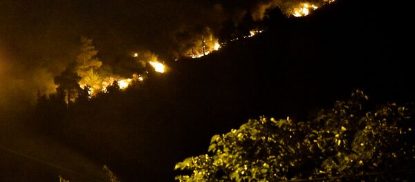 Горящие деревья на Мтацминда: пламя охватило лес за считанные минуты - Sputnik Грузия