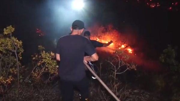 Пожар на горе Мтацминда - Sputnik Грузия