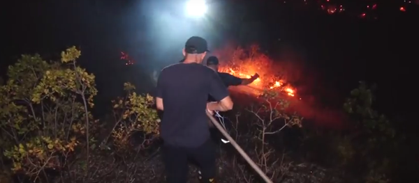 Пожар на горе Мтацминда Пожар на горе Мтацминда - Sputnik Грузия