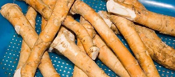 პირშუშხა პირშუშხა - Sputnik საქართველო