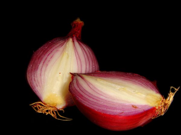 ხახვი - Sputnik საქართველო