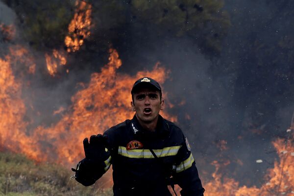 В 2007 году по всей Греции также полыхали пожары. Многие обозреватели уверены, что их причиной были поджоги с целью дестабилизировать ситуацию в стране и отстранить от власти бывшего премьер-министра Костаса Караманлиса. На фото - пожарный у деревни Капандрити, к северу от Афин, Греция - Sputnik Грузия