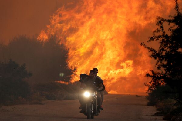 В результате пожаров сгорели десятки тысяч гектаров леса, в том числе вблизи Афин, дым от лесных пожаров во вторник чувствовался по всей столице Греции. На фото - двое мужчин и собака на мотоцикле спасаются от лесных пожаров - Sputnik Грузия