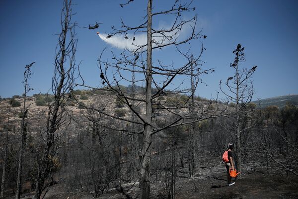 Вертолет Chinook сбрасывает воду над затухающим лесным пожаром на фоне сгоревших деревьев недалеко от Афин. Большая часть специальной пожарной авиации в Греции уже устарела — например, самолеты CL-215 летают уже 40 лет - Sputnik Грузия