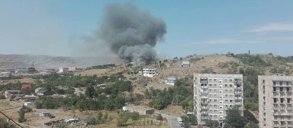 Клубы дыма над территорией озера Лиси - Sputnik Грузия