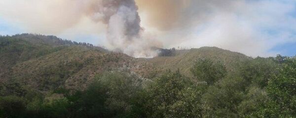 ხანძარი ბორჯომი-ხარაგაულის ტყეში ხანძარი ბორჯომი-ხარაგაულის ტყეში - Sputnik საქართველო