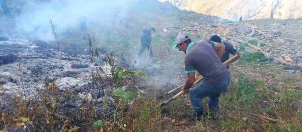 ხანძარი ბორჯომის ტყეში ხანძარი ბორჯომის ტყეში - Sputnik საქართველო