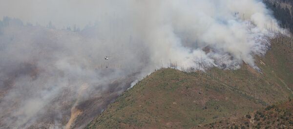 Пожар в Боржоми-Харагаульском лесу - Sputnik Грузия