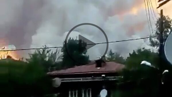 Огонь у жилых домов: как горит лес в Боржоми - Sputnik Грузия