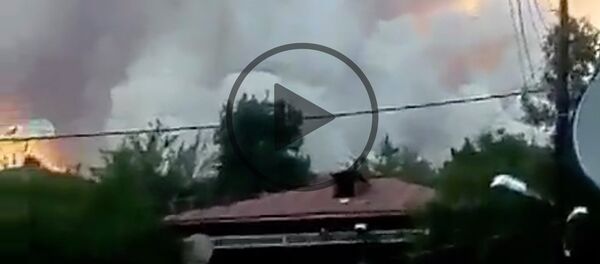 Огонь у жилых домов: как горит лес в Боржоми - Sputnik Грузия