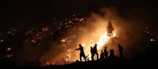 ხანძარი ბორჯომში - Sputnik საქართველო