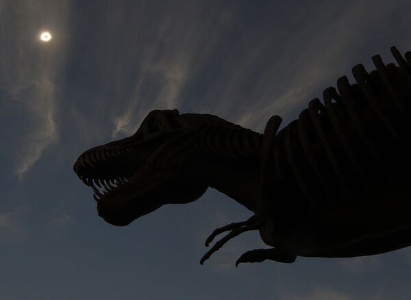 Полное солнечное затмение на фоне искусственной фигуры динозавра, штат Вайоминг, США - Sputnik Грузия