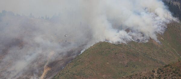 ხანძარი ბორჯომის ტყეში - Sputnik საქართველო