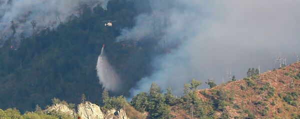 ხანძარი ბორჯომის ტყეში ხანძარი ბორჯომის ტყეში - Sputnik საქართველო
