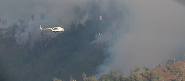 ხანძარი ბორჯომის ტყეში, არქივის ფოტო - Sputnik საქართველო