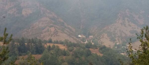 ვერტმფრენი ბორჯომის ტყის თავზე, სადაც ხანძარი უკვე მესამე დღეა მძვინვარებს - Sputnik საქართველო