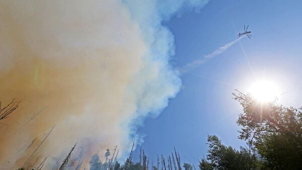 Пожар в Боржоми-Харагаульском лесу - Sputnik Грузия