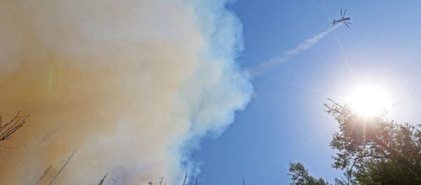 Пожар в Боржоми-Харагаульском лесу - Sputnik Грузия