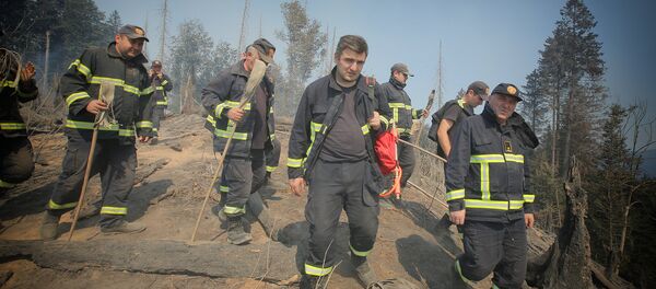 Пожарные в Боржоми-Харагаульском лесу - Sputnik Грузия