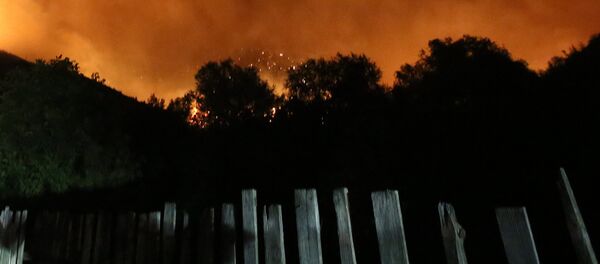 Пожар в Боржоми-Харагаульском лесу Пожар в Боржоми-Харагаульском лесу - Sputnik Грузия