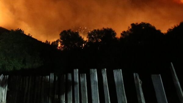 Пожар в Боржоми-Харагаульском лесу - Sputnik Грузия