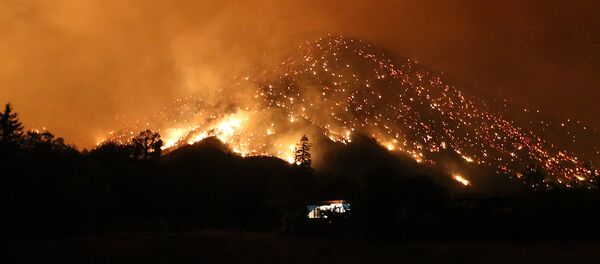 Горящие деревья на склоне горы в Боржоми-Харагаульском лесу - Sputnik Грузия