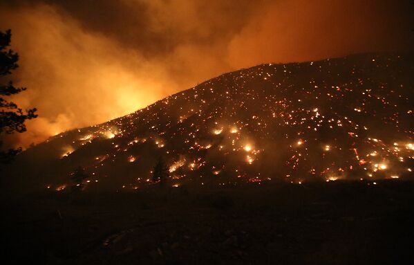 Пожар в лесу близ села Даба, расположенном неподалеку от города Боржоми, начался 20 августа - Sputnik Грузия