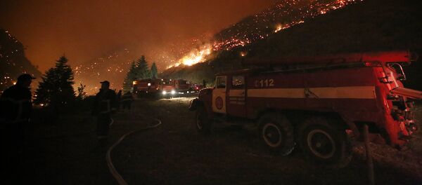 ცეცხლმოკიდებული ხეები ბორჯომ-ხარაგაულის ტყეში ცეცხლმოკიდებული ხეები ბორჯომ-ხარაგაულის ტყეში - Sputnik საქართველო