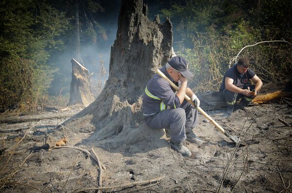 Кроме пожарных-спасателей, в тушении лесного пожара участвовали около 100 лесников и 500 сотрудников МВД Грузии, а также добровольцы из числа местного населения - Sputnik Грузия