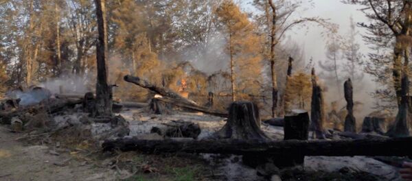ნახანძრალი ტყე ბორჯომში ნახანძრალი ტყე ბორჯომში - Sputnik საქართველო