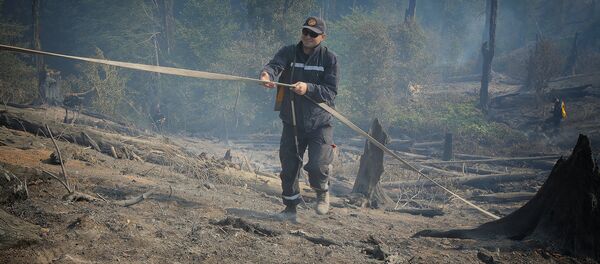 Боржоми-Харагаульский лес после пожара - Sputnik Грузия