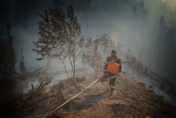 После нескольких суток тушения лесного пожара в Боржоми-Харагаульском лесу, было решено привлечь к ликвидации очагов огня подразделения Вооруженных сил Грузии - Sputnik Грузия