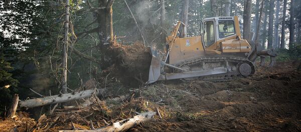 Пожар в лесу  - Sputnik Грузия