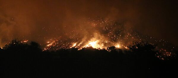 Огонь и дым: как горел Боржоми-Харагаульский лес - Sputnik Грузия