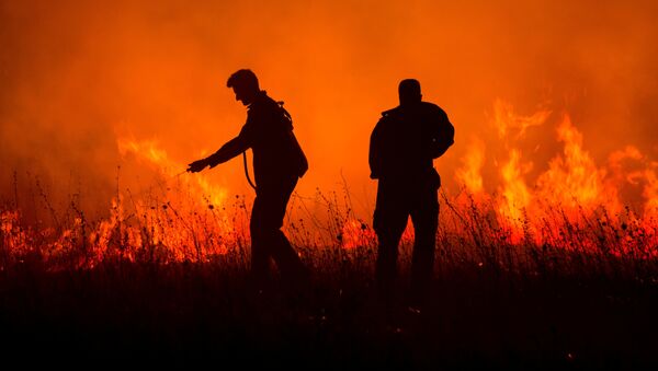 Тушение лесного пожара в Хорватии - Sputnik Грузия