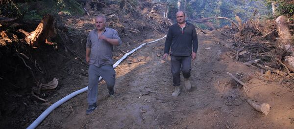 მაშველები ბორჯომის ტყეში მაშველები ბორჯომის ტყეში - Sputnik საქართველო