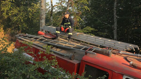 Пожарный-спасатель в Боржоми-Харагаульском лесу - Sputnik Грузия