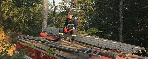 მეხანძრე ბორჯომ-ხარაგაულის ტყე-პარკში - Sputnik საქართველო