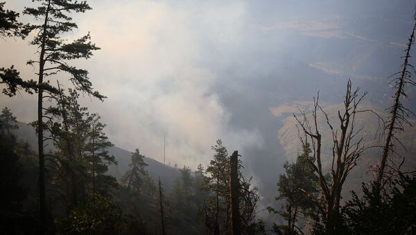 Дым и огонь во время пожара в Боржоми-Харагаульском лесу - Sputnik Грузия