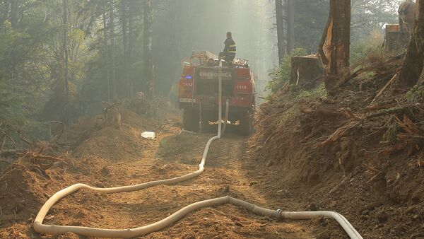 Пожарные и спасатели в Боржоми-Харагаульском лесу - Sputnik Грузия