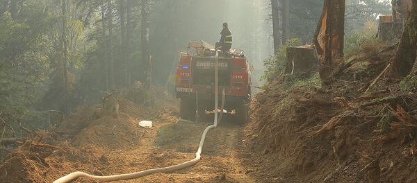 მეხანძრეები ბორჯომის ტყეში - Sputnik საქართველო