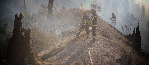 Пожарные и спасатели в Боржоми-Харагаульском лесу Пожарные и спасатели в Боржоми-Харагаульском лесу - Sputnik Грузия