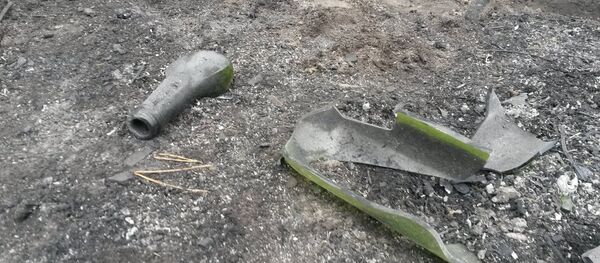 ბოთლის ნამსხვრევები ბორჯომის ტყეში ბოთლის ნამსხვრევები ბორჯომის ტყეში - Sputnik საქართველო