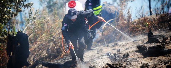 ხანძრის ქრობა - Sputnik საქართველო
