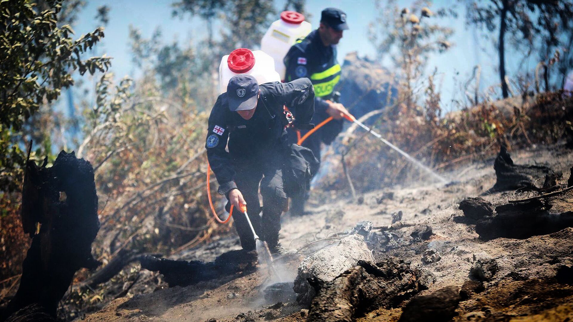 Пожарные ликвидируют очаг возгорания в Боржоми-Харагаульском лесу - Sputnik Грузия, 1920, 31.08.2022