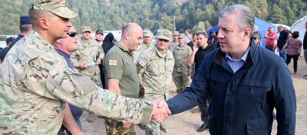 Военные и Георгий Квирикашвили в Боржоми-Харагаульском лесу Военные и Георгий Квирикашвили в Боржоми-Харагаульском лесу - Sputnik Грузия