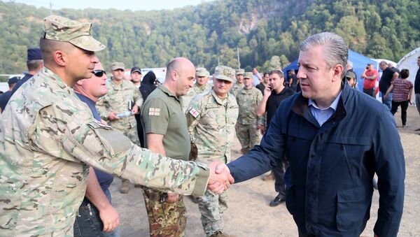 Военные и Георгий Квирикашвили в Боржоми-Харагаульском лесу - Sputnik Грузия
