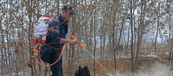 მეხანძრე ბორჯომის ტყეში მუშაობისას მეხანძრე ბორჯომის ტყეში მუშაობისას - Sputnik საქართველო