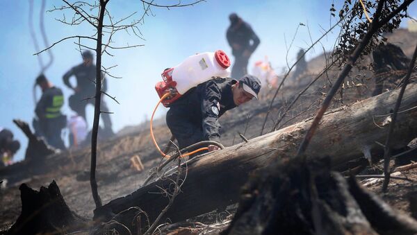 Пожарный работает на месте ЧП в Боржоми-Харагаульском лесу - Sputnik Грузия